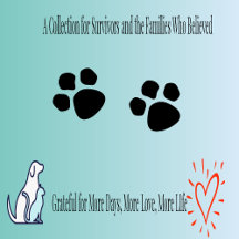 Celebrating Courage: Cancer Survivor Designs