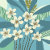 YugoFlora