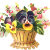 Spring Flowers
