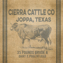 Cows