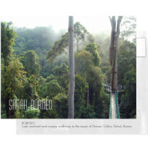 Worldwide Travel Souvenir Postcards