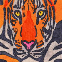 Tiger Collection