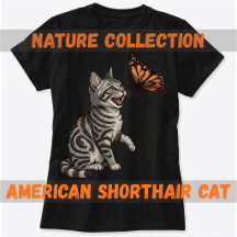 American Shorthair Cat Nature Collection
