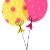 Celebration Sensation