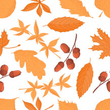 Cozy Autumn Designs for Home & Gifts