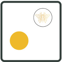 Gold waxing honeybee collection