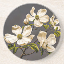 Dogwood Design Coaster