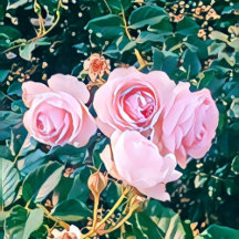 luxe romantic flowers botanical wallpaper