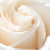 WhiteRose1