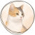 Silver Calico Studio