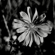 Hidden Worlds