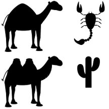 Desert