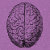 axonsandsynapses