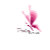 Papillon_DeSign