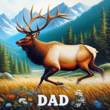 Gifts for Dad