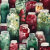 Pattern Pandemonium