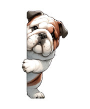 FUN DOGS