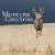 Montana Creations