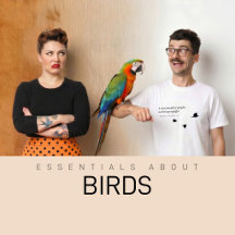 Browse Basic Products on Birds