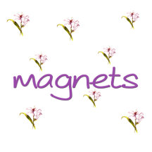 magnets