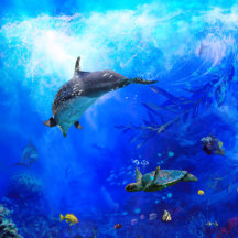 OCEAN & SEA LIFE / AQUATIC FISH 