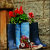PicturesqueArt