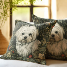 Maltese in a William Morris Garden