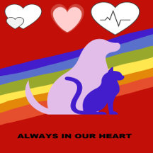 Hemangiosarcoma Awareness & Pet Memorials