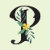 Botanical Pattern Emporium
