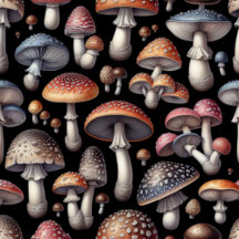 Dreamy Mushrooms
