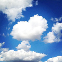 Love is in the Air!