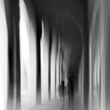 p Alb & Negru | black and white