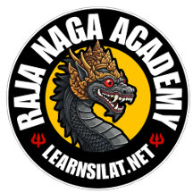 RAJA NAGA ACADEMY TRAINING SHIRT