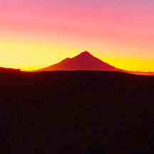 All things Aotearoa, New Zealand