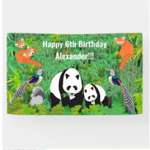 Panda & Friends Party