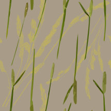 Grasses and cottage garden