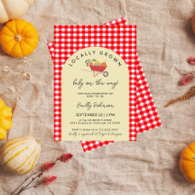 GINGHAM baby shower