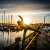 Amazing Photography Adventures