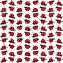 LadyBug