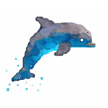 Mozayix: Dolphin Summer 2017