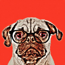 Warhol Style