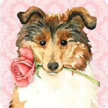 Valentine Rose