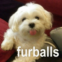 Pet Care