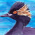 PaintedAnimals