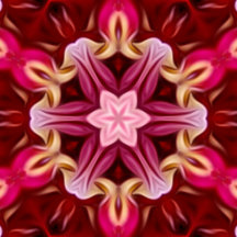 flora