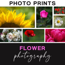 Flower Photography Photo Prints