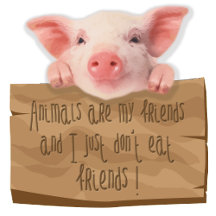 Les Nouvelles des Animaux