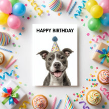 Paws & Whiskers Birthday Cards