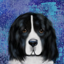 Newfoundland 