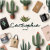 Cactiophia